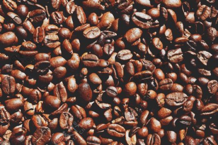 颗粒饱满味道香醇的咖啡豆图片
