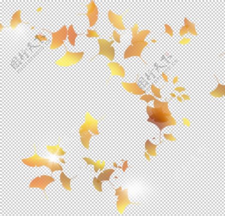 秋天银杏叶图片
