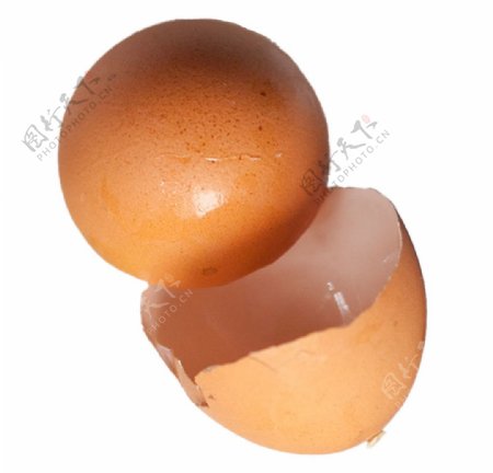 厨余垃圾鸡蛋壳抠图图片