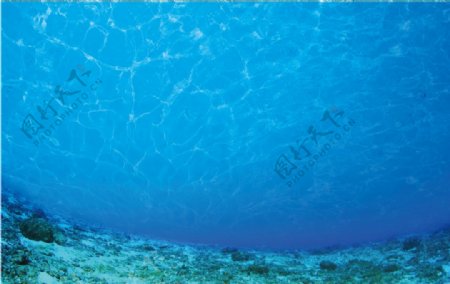 海底背景图片