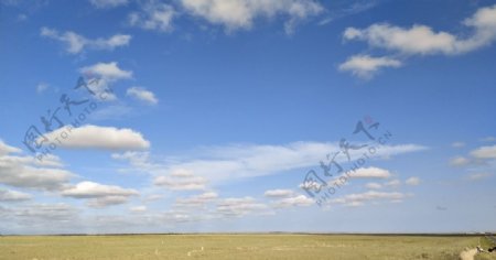 草原蓝天白云图片