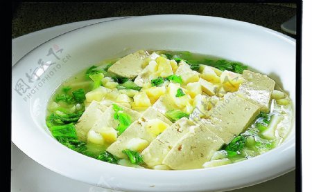 豫菜小白菜烩豆腐图片