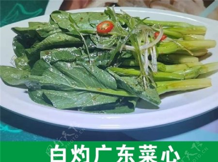白灼广东菜心图片