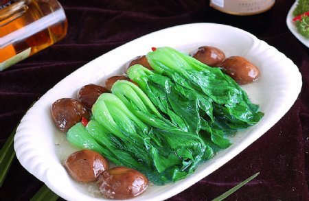 火锅配菜香菇朵朵白图片