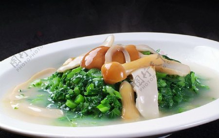 川菜滑菌钵钵菜图片