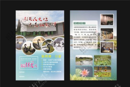 仙鹤湖旅游单页图片