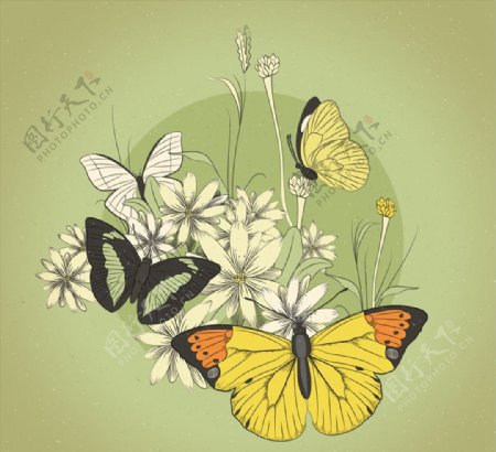复古蝴蝶和花卉图片