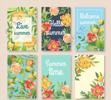 彩色夏季花卉卡片图片