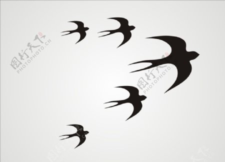 矢量燕子图片