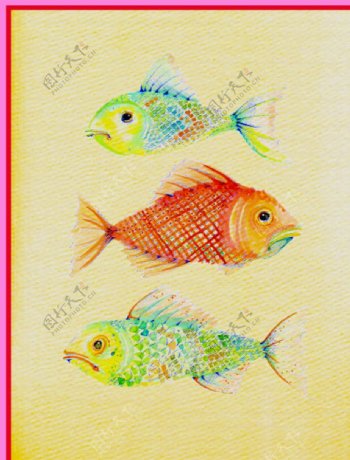 彩色油画金鱼图片