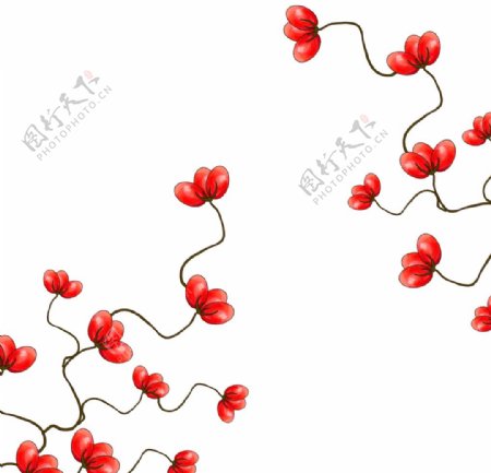 红色花朵植物元素图片