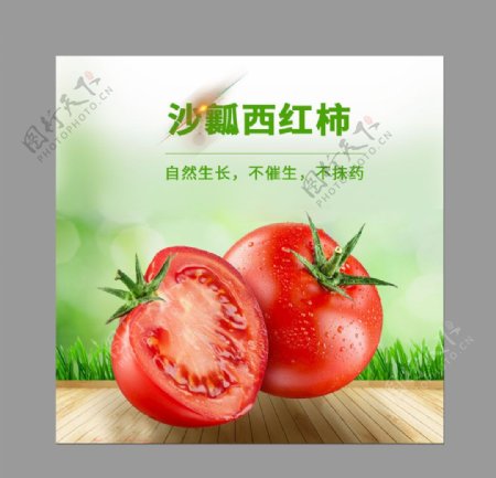 西红柿主图图片
