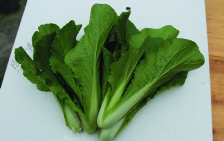 蔬菜白菜图片