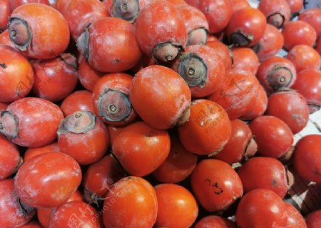 红柿子图片