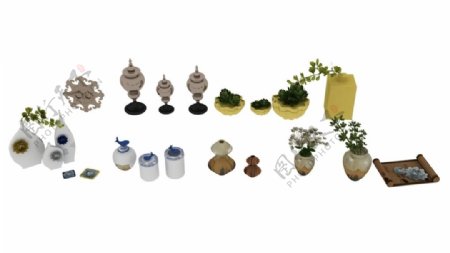 花瓶植物集合模型图片